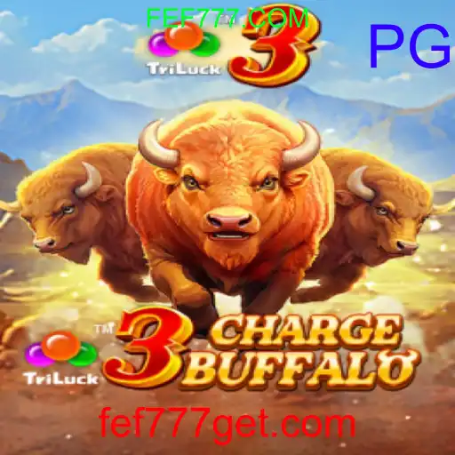 3ChargeBuffalo